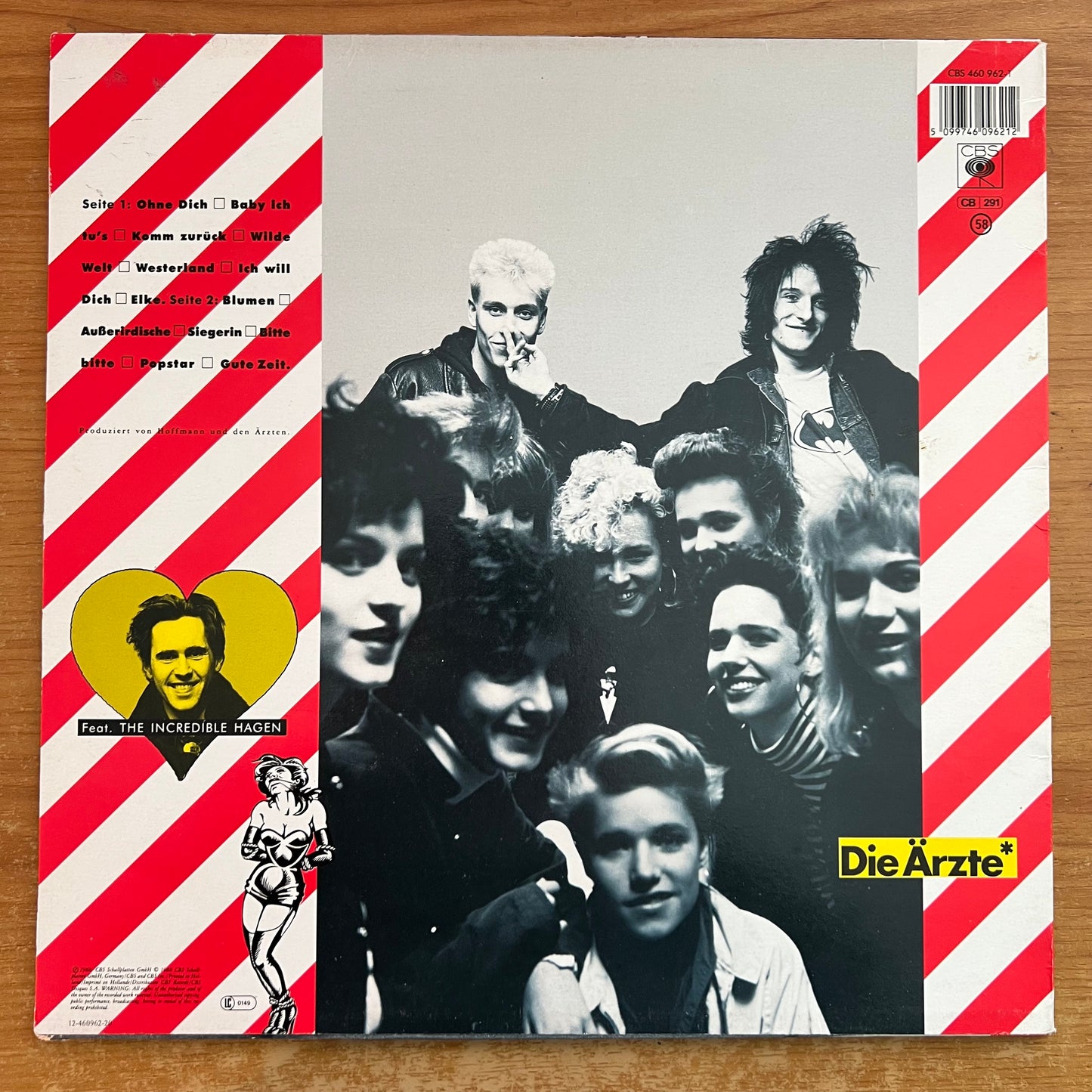 Ärzte - Das Ist Nicht Die Ganze Wahrheit / 1. D-Press. 1988 - (M-/VG++)