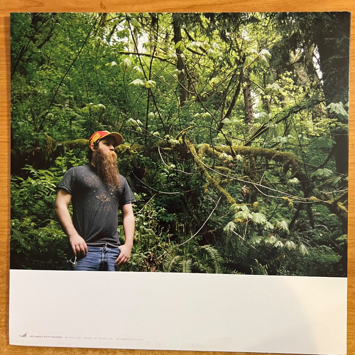 Castanets - Texas Rose, The Thaw & The Beats / 1.US Press. 2009 - (M-/M-)