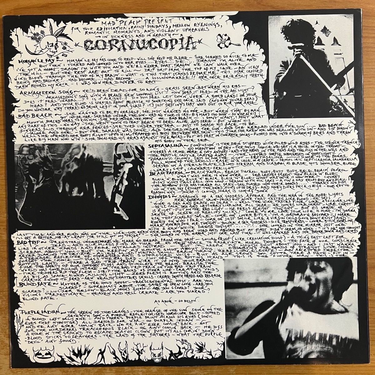 Bad Beach - Cornucopia // 1st UK Press. 1987 - (M-/VG++)