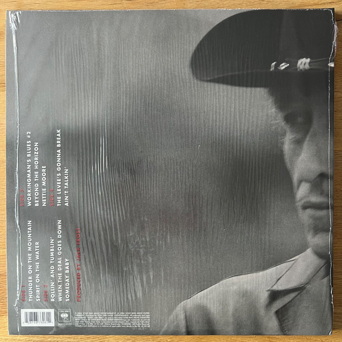 Bob Dylan - Modern Times / 2 LP - 1st EU 2006 - Audioph. Press. - (Mint/Mint)