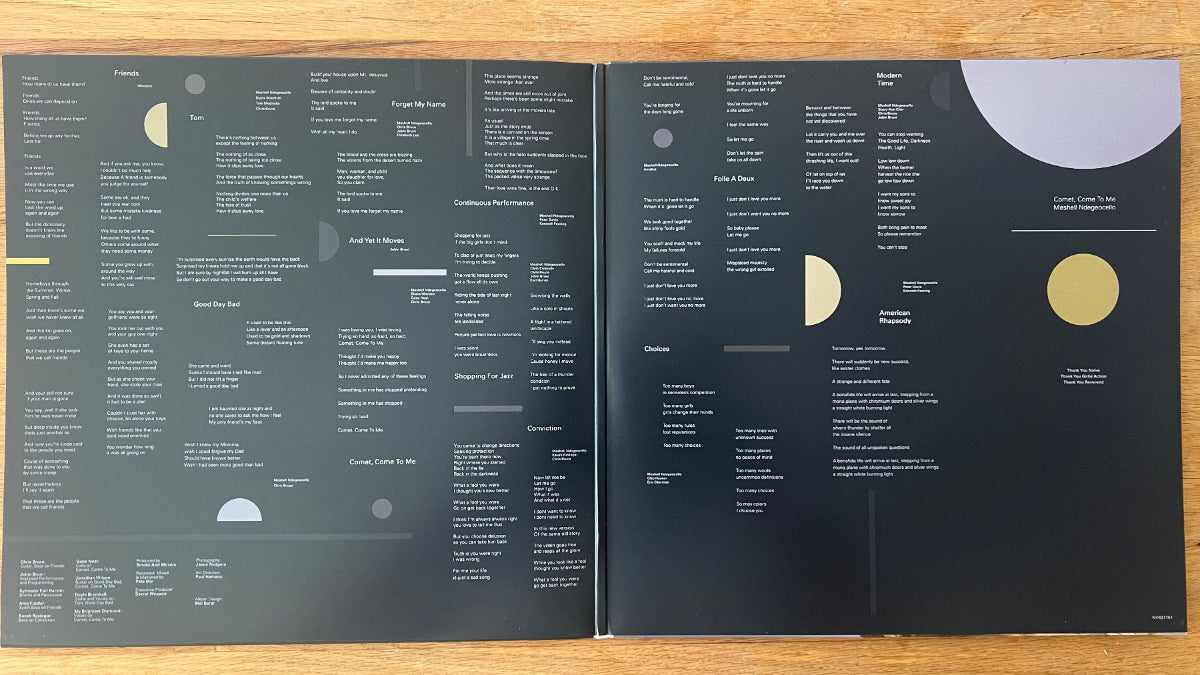 Meshell Ndegeocello - Comet, Come To Me / 1. NL-Press. 2014 - (Mint)