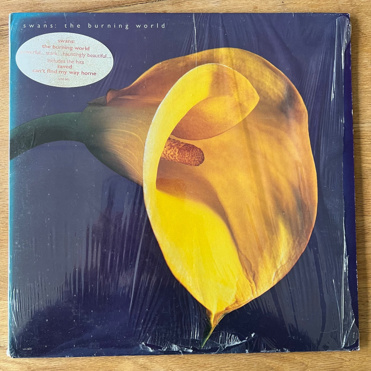 Cygnes - Le Monde en feu / 1re édition américaine. 1989 - (M-/VG++)
