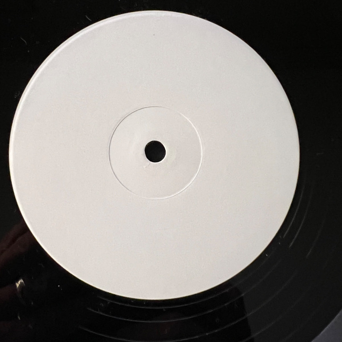 Bob Dylan - I Tomorrow/ / USA Press. 1984 - (M-/VG++)