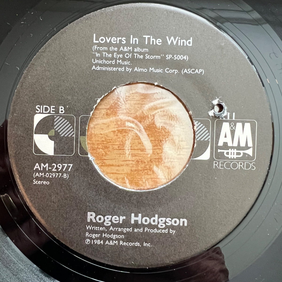 Roger Hodgson - You Make Me Love You / 1. US-Press. 1987 - (M-/VG++)