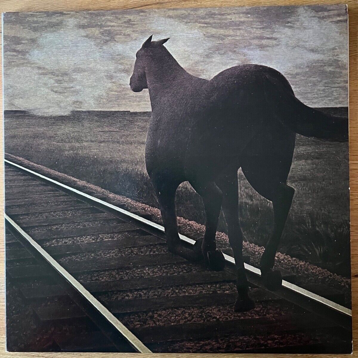 Bruce Cockburn - Night Vision / Canada Press. RE - (M-/M-)