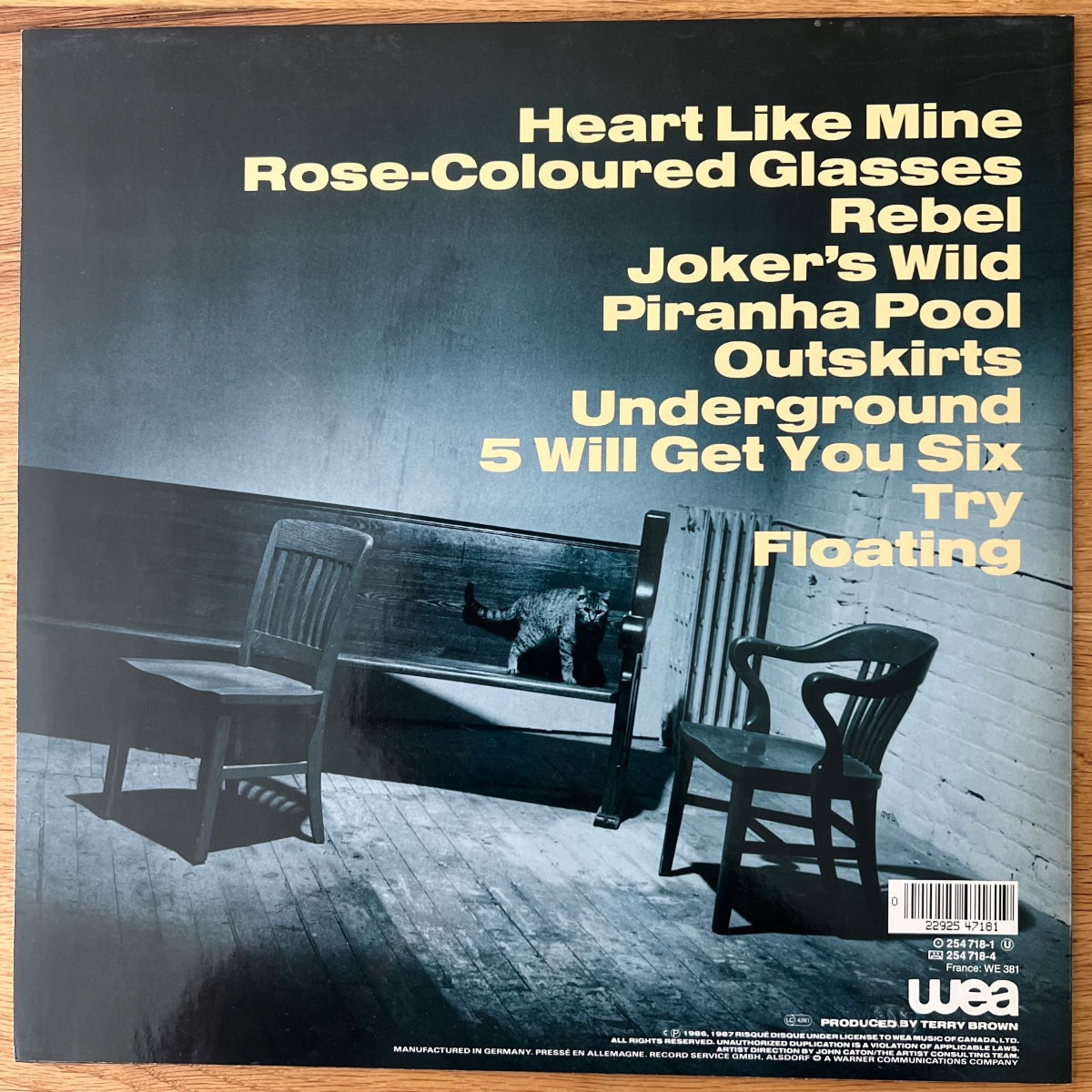 Blue Rodeo - Outskirts / 1. D-Press. 1987 - (M-/M-)