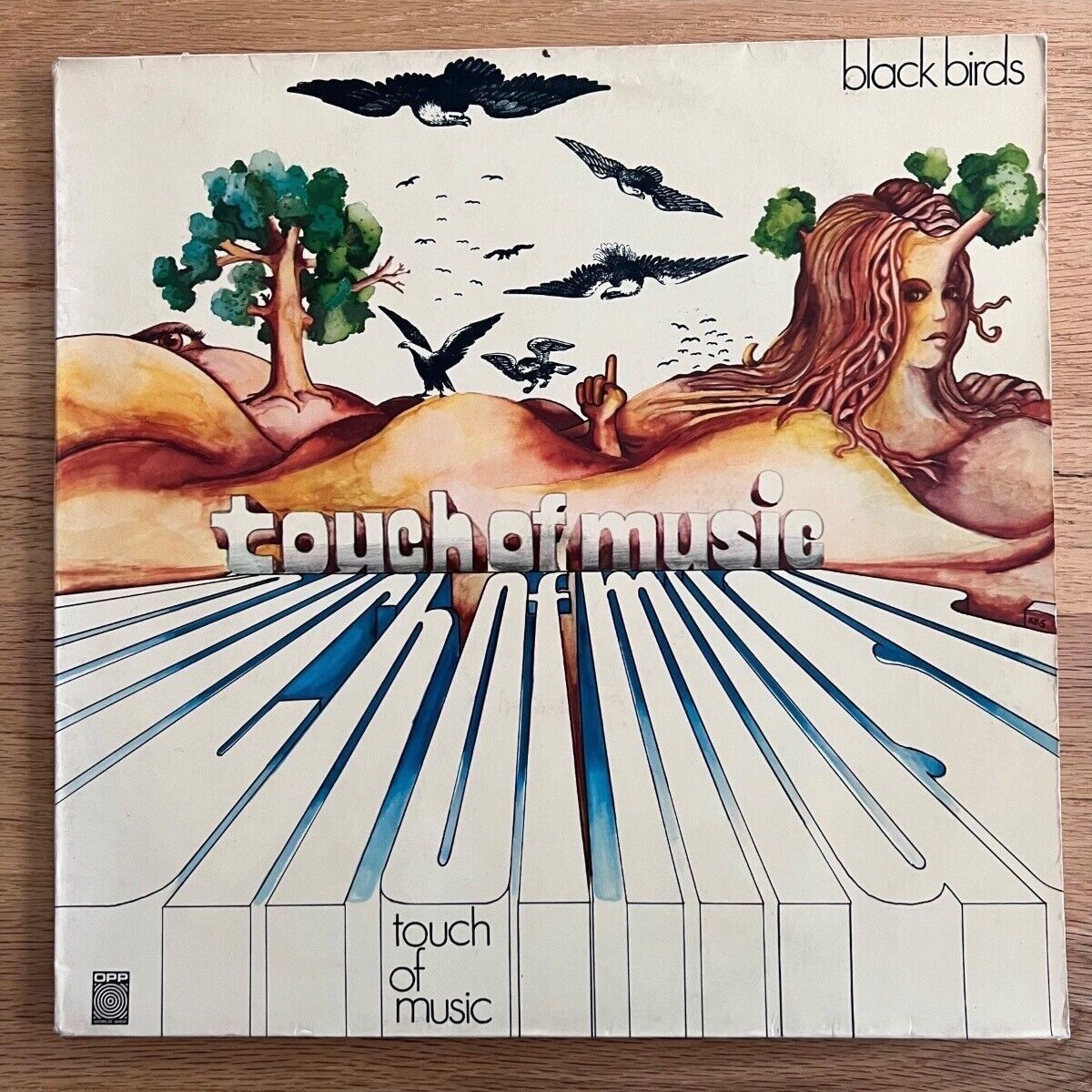 Blackbirds - Touch Of Music / 1. D-Press. 1971 - (VG++/VG+)