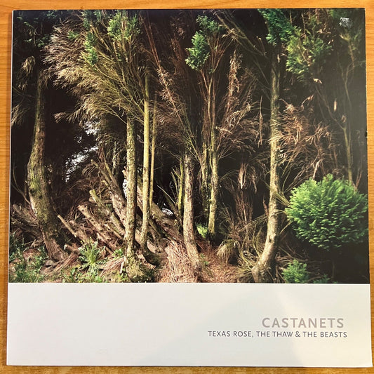 Castagnettes - Texas Rose, The Thaw & The Beats / 1. Presse américaine 2009 - (M-/M-)