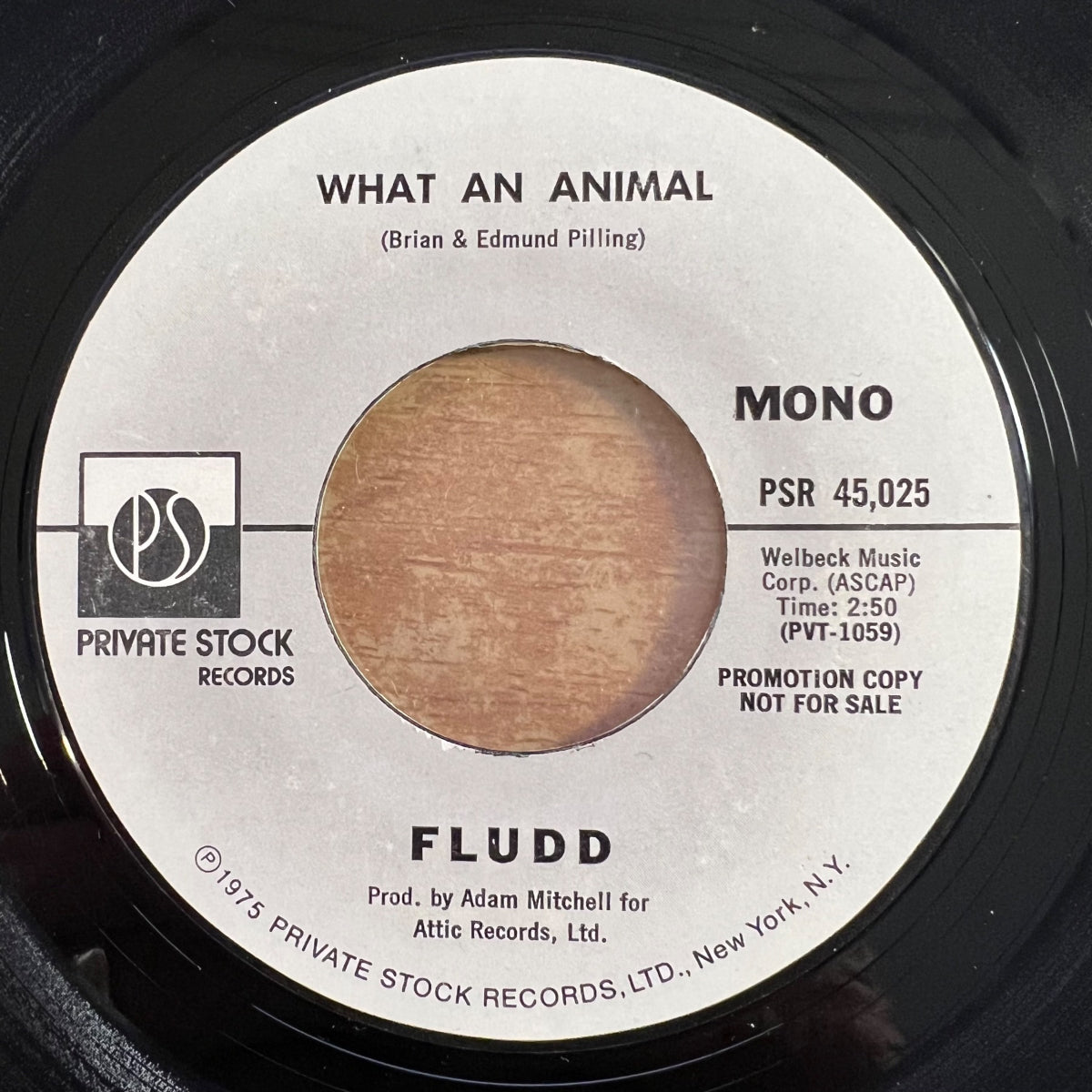 Fludd - What An Animal / Promo US 1975 - (VG+/Neutre)