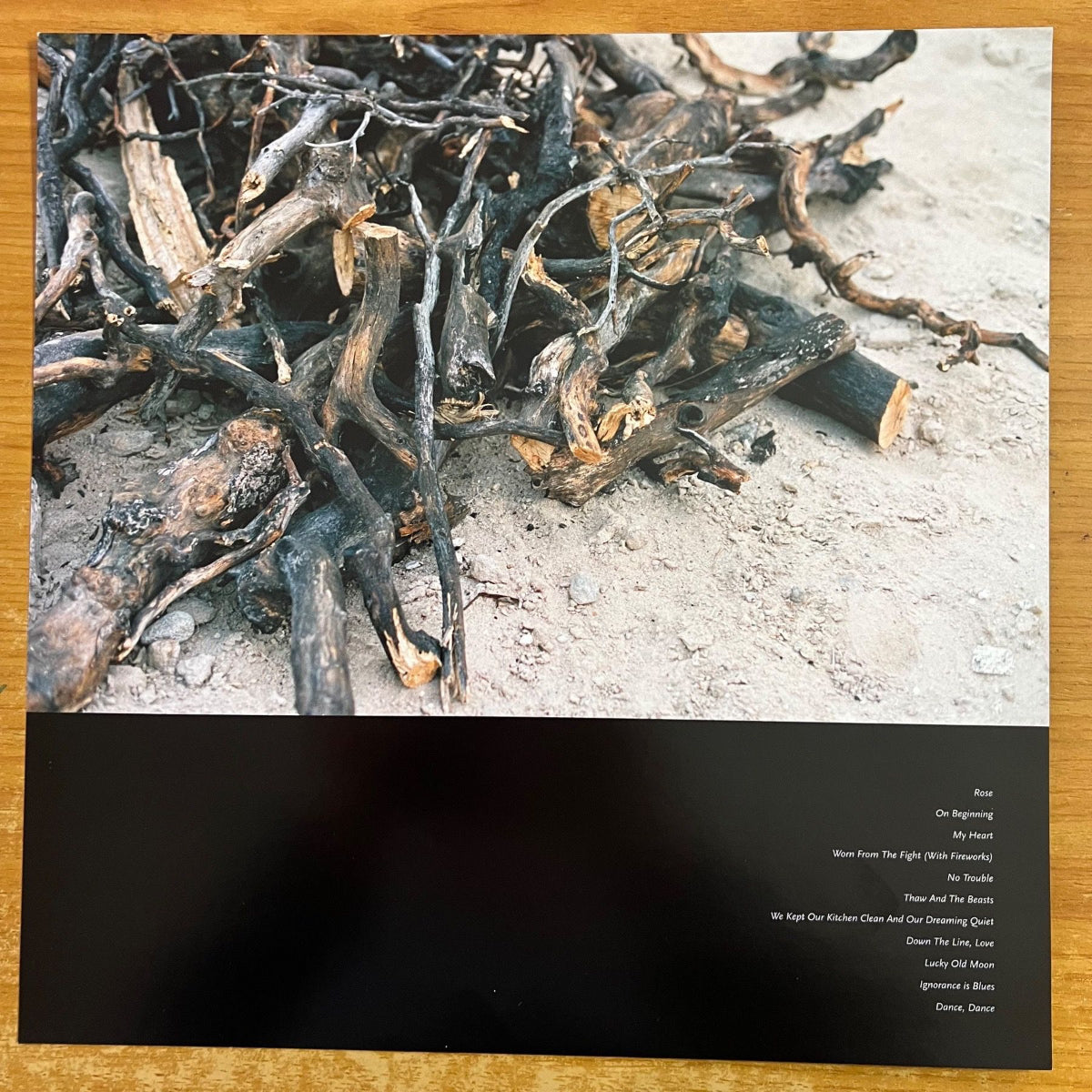 Castanets - Texas Rose, The Thaw & The Beats / 1.US Press. 2009 - (M-/M-)