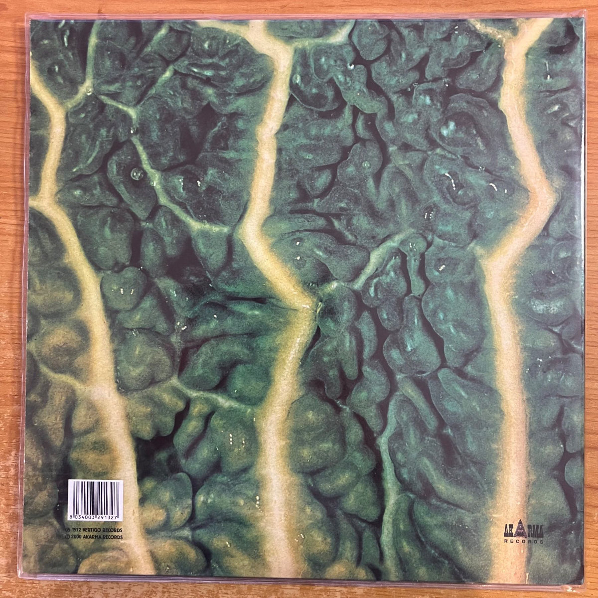 Catapilla - Changes / Italy-Press. 2000 on Akarma - (M-/M-)