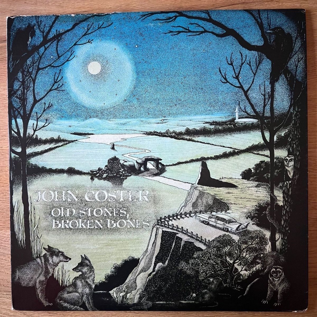 John Coster - Old Stones, Broken Bones / 1. US-Press. 1979 - (M-/VG++)