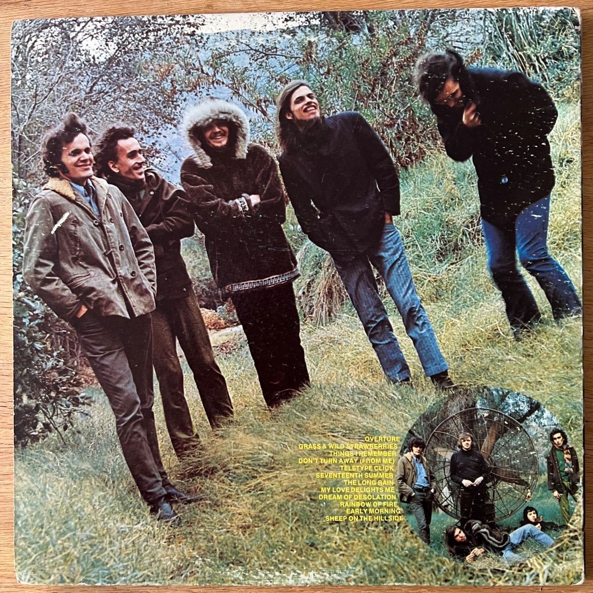 Collectors - Grass And Wild Strawberries / US Promo 1969 - (VG++/VG+)