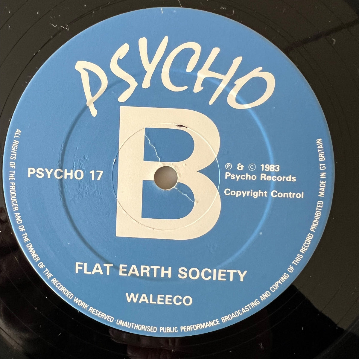 Flat Earth Society - Waleeco / UK-Press. 1983 - (M-/M-)