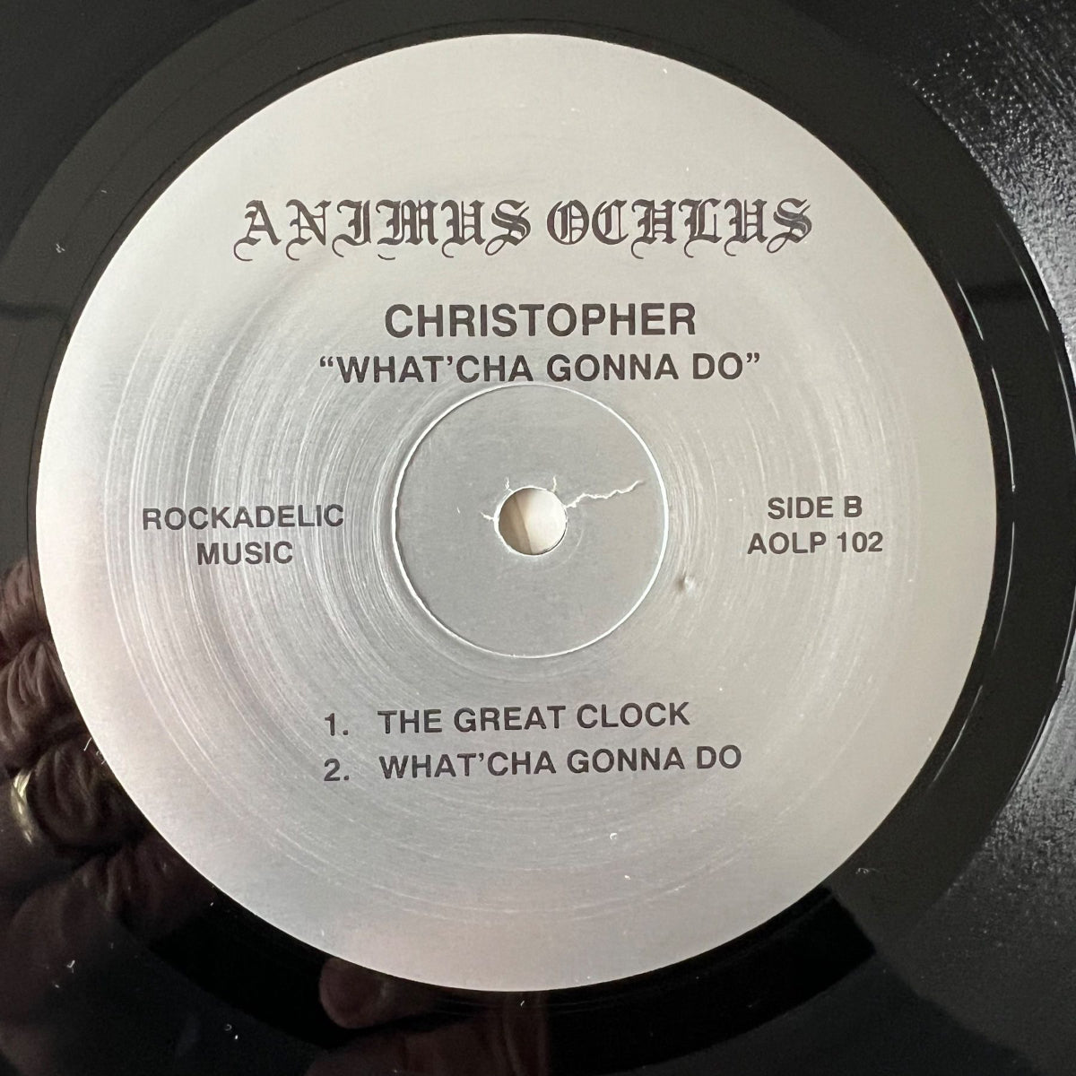 Christopher - What'cha Gonna Do ?/ US-Pres.1990, RE von 1969 - (M-/M-)