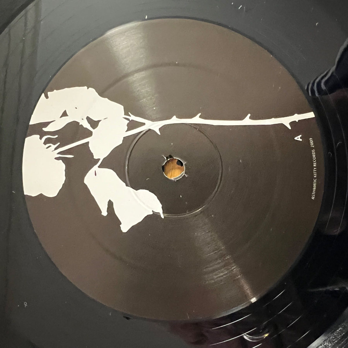 Castanets - Texas Rose, The Thaw & The Beats / 1.US Press. 2009 - (M-/M-)