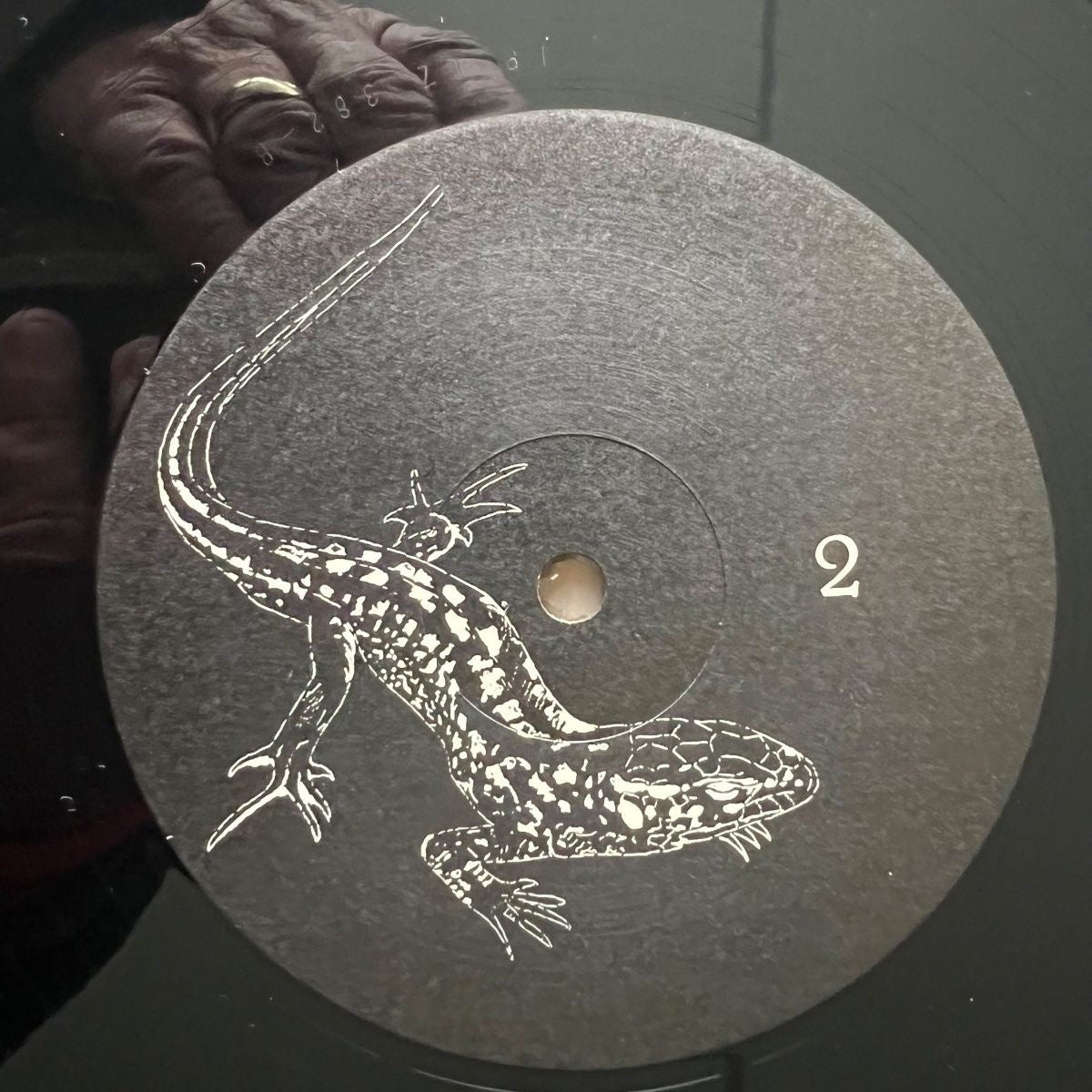 Lizard - In Concert / 2 LP - 1. Swiss 197? - Incl. 2 Posters - (M-/VG++)