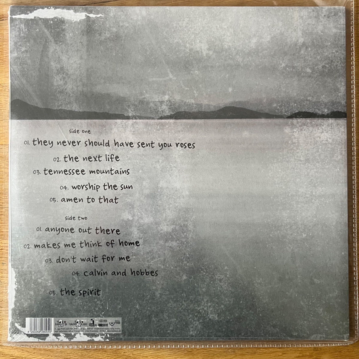 Ray Wilson - Makes Me Think Of Home / 1. Poland-Press. 2016