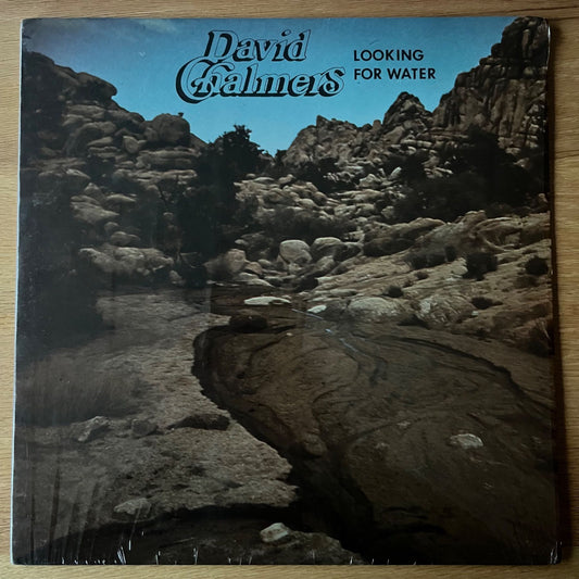 David Chalmers - Looking For Water / 1. US Press. 1977 - (M-/VG++)