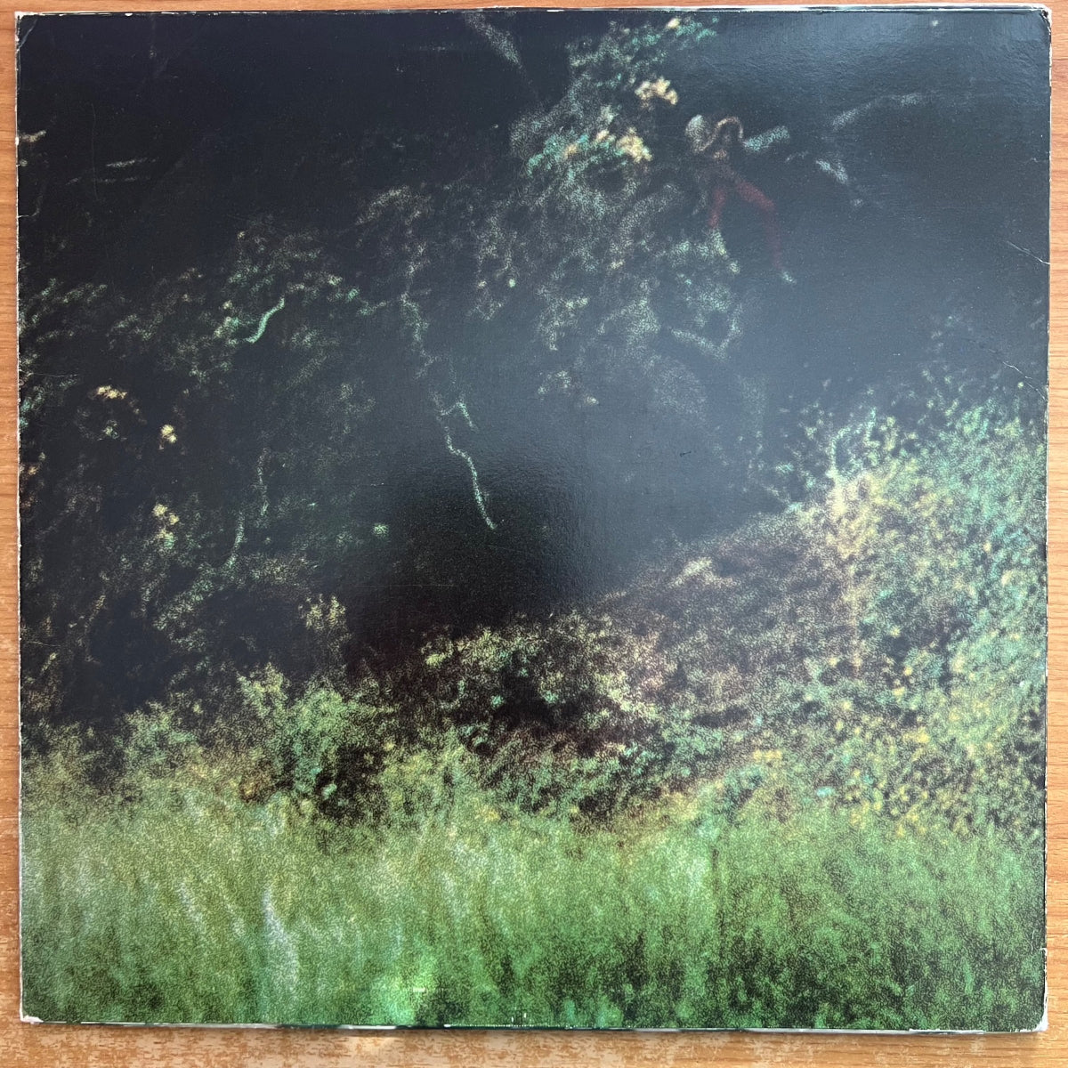 Evergreen Blueshoes - The Ballad Of.. / 1. US-Press. 1969 - (M-/VG+)