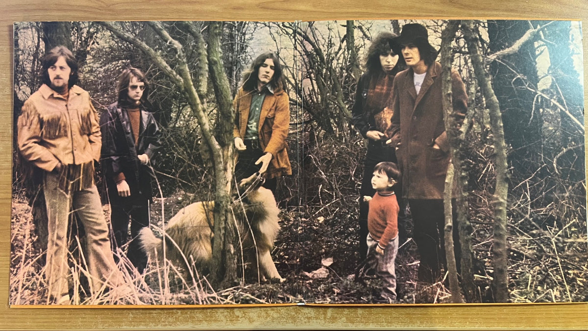 Fairport Convention - Full House / 1. UK-Press. 1970 - (M-/VG++)