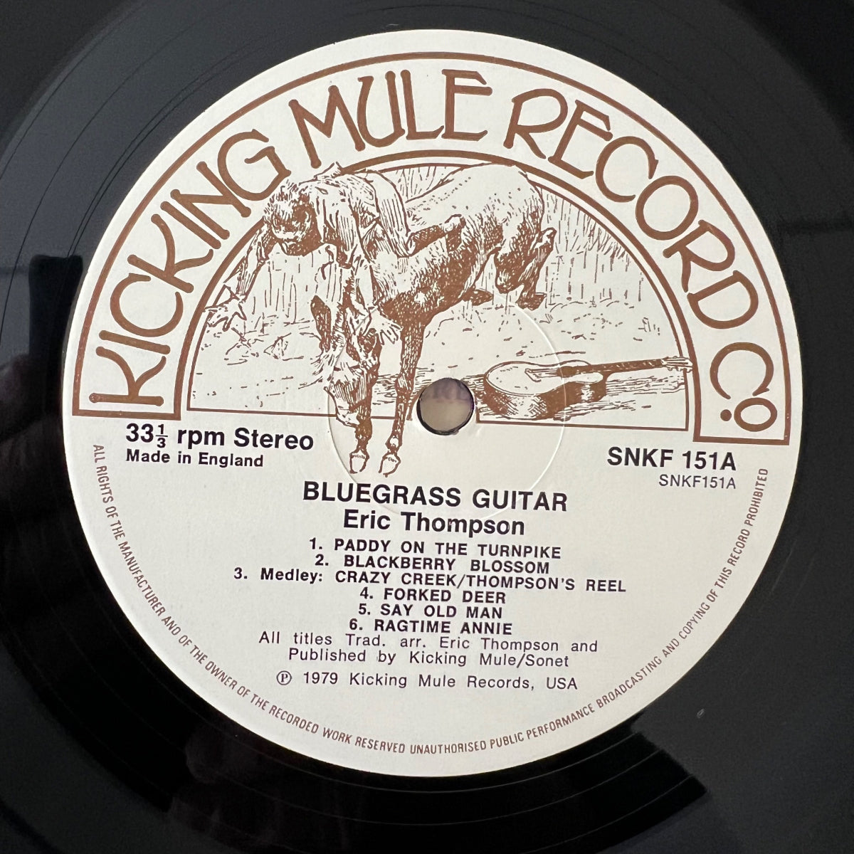 Eric Thompson - Eric Thompson's Bluegrass Guitar