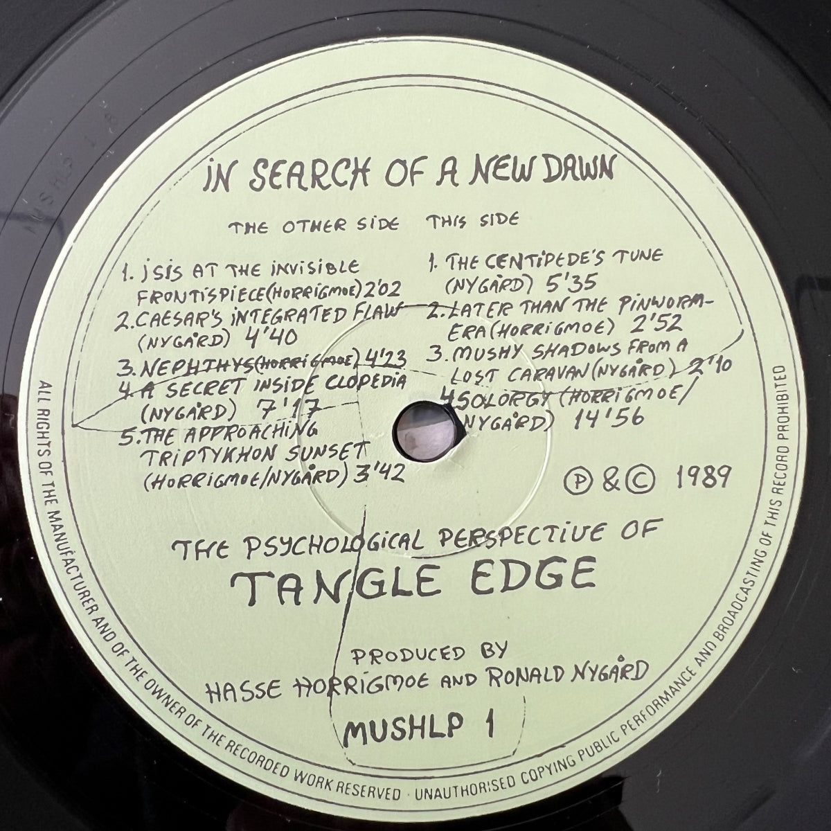 Tangle Edge - In Search Of A New Dawn / Norway-Press. 1989 - (M-/VG+)