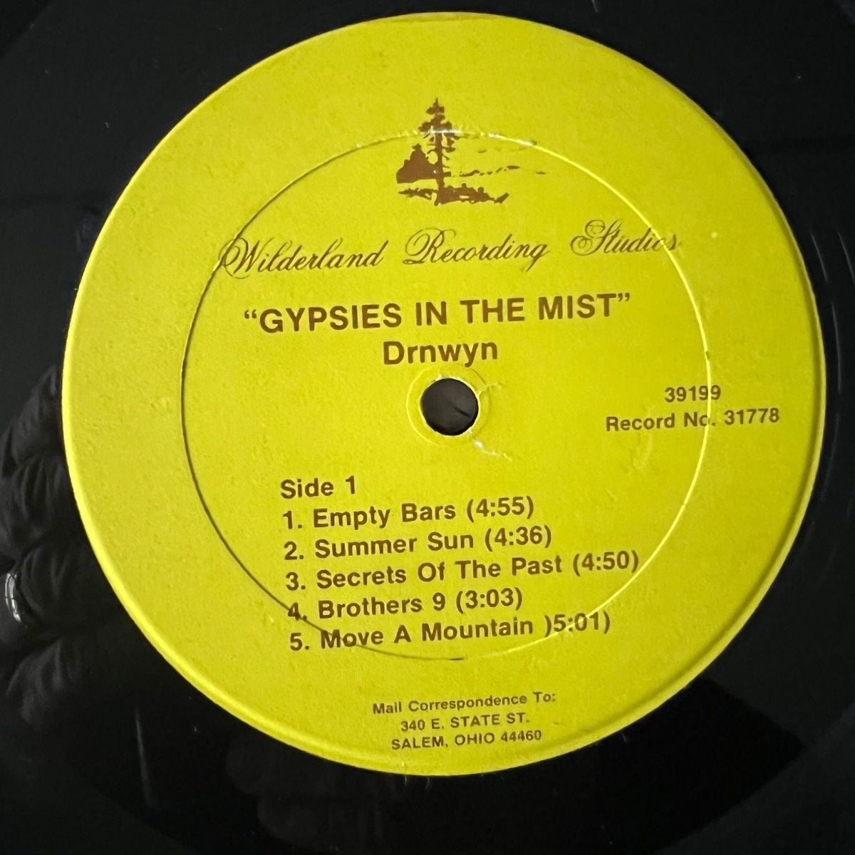 Drnwyn - Gypsies In The Mist / 1re édition américaine. 1978 - (M-/VG++)