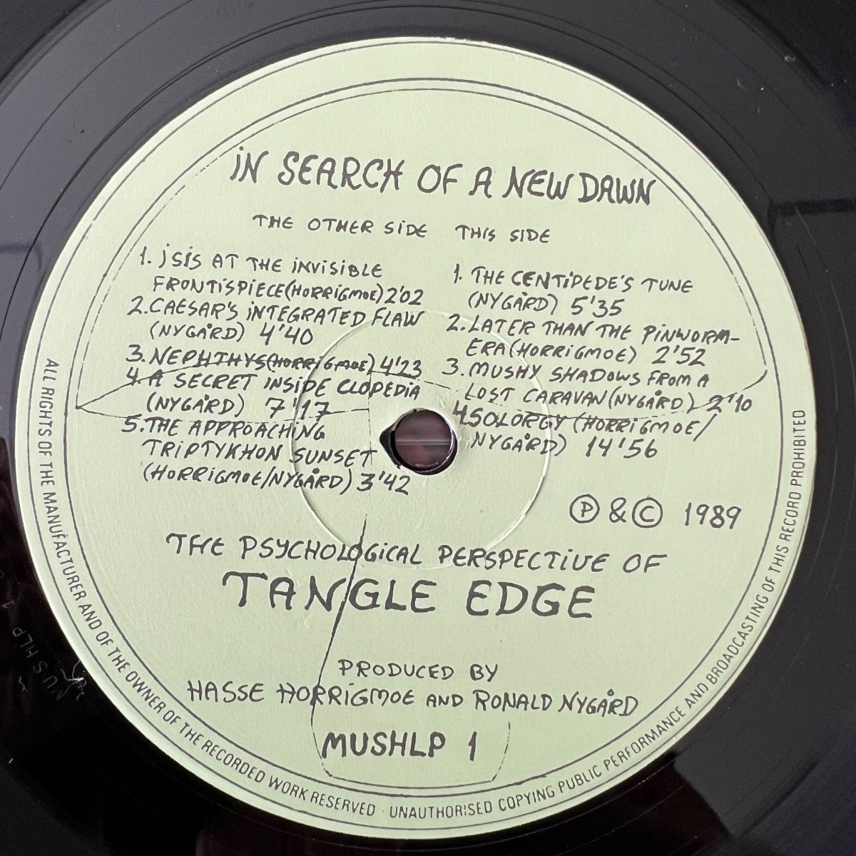 Tangle Edge - In Search Of A New Dawn / Norway 1989 - (M-/M-)