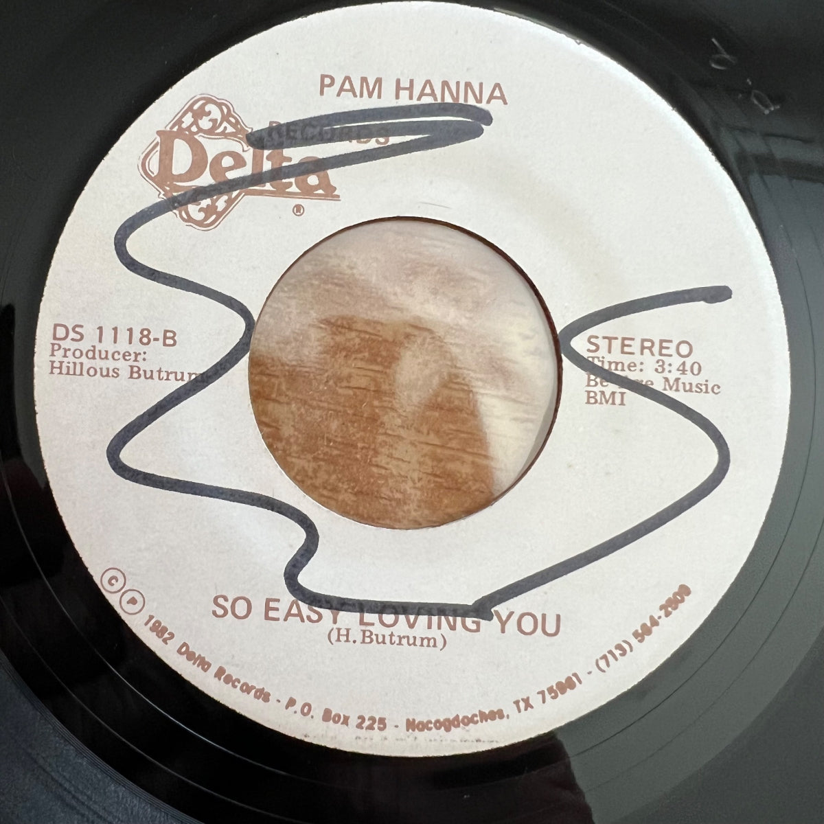 Pam Hanna - Got A Little Devil In Me / 1. US-Press. 1982 - (M-/Neutral)