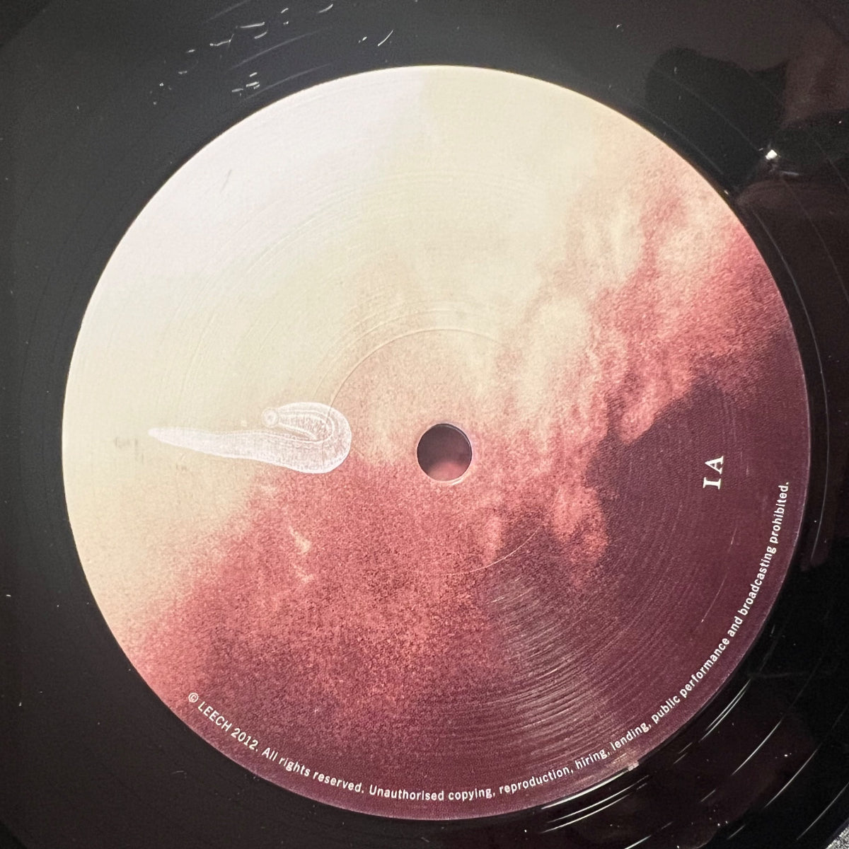 Leech - If We Get There One Day.. / 1. Swiss-Press. 2012 - (Mint/M-)