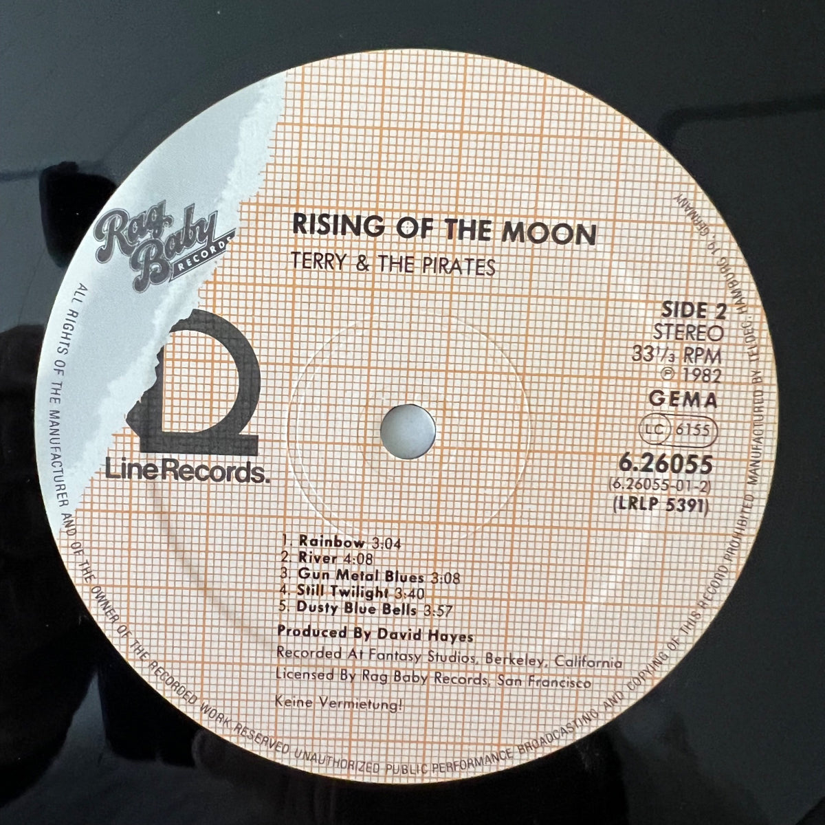 Terry Dolan, Terry & The Pirates - Rising Of The Noon / D-Press. 1984 - (M-/VG+)
