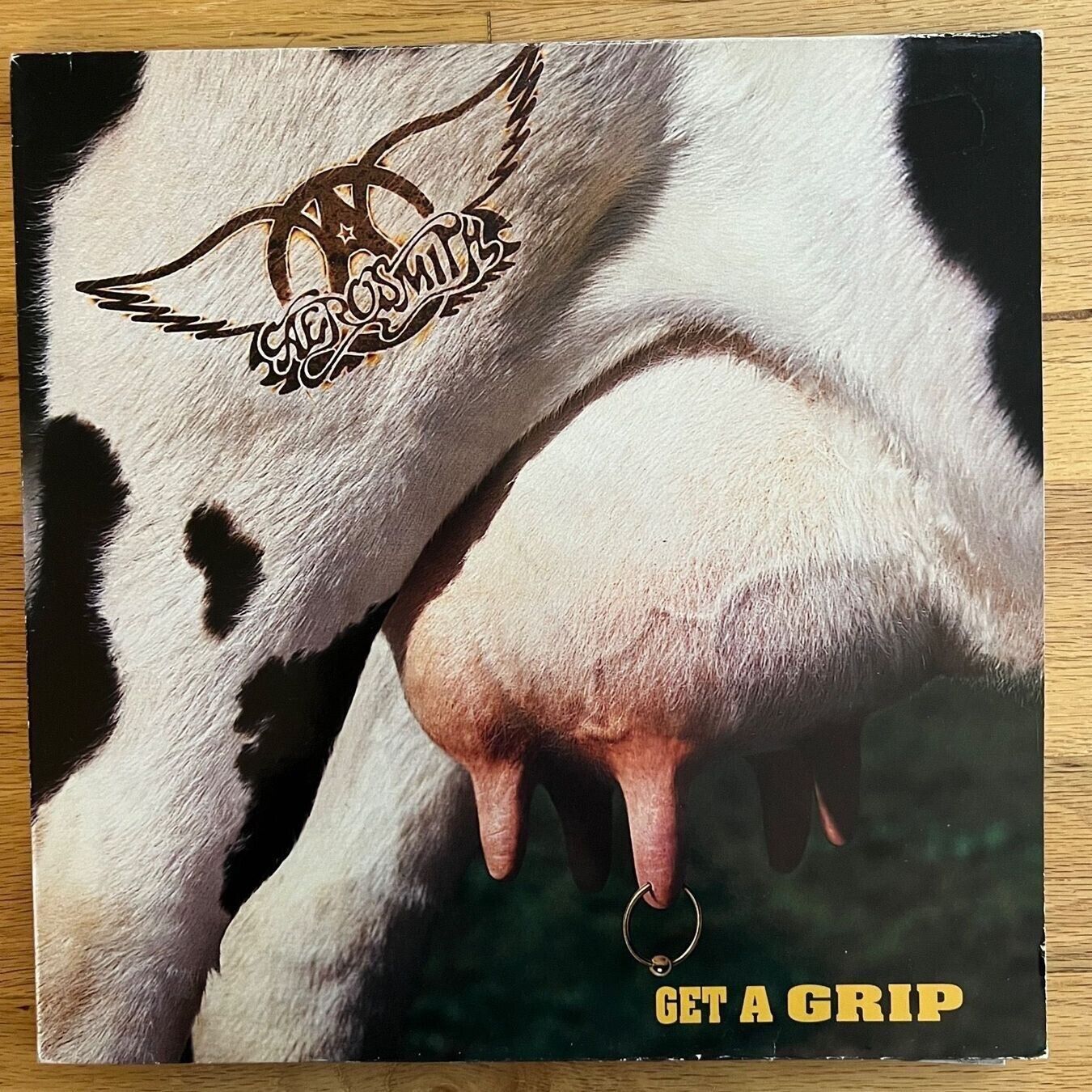Aerosmith - Get A Grip / 2 LPs - 1st NL Press. 1993 - (M-/VG++)