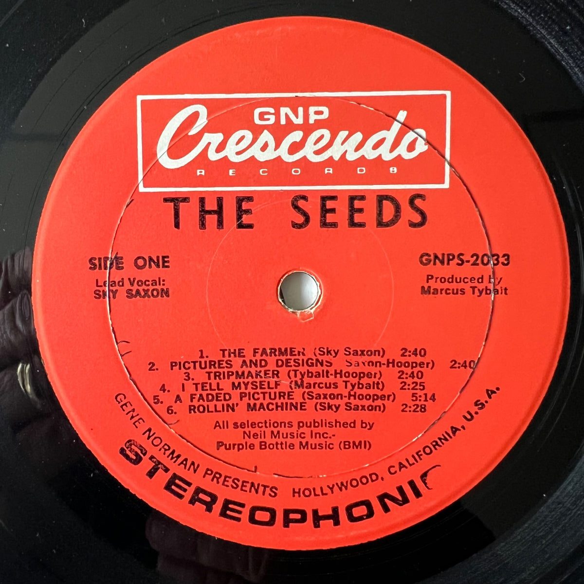 Seeds - A Web Of Sound / 1. US-Press. 1966 - (VG++/VG+)