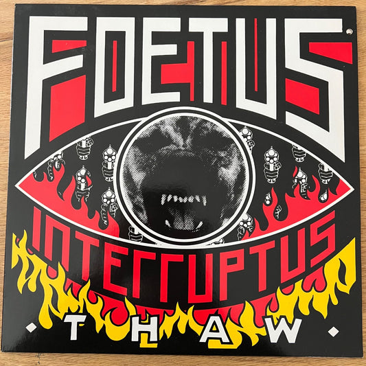 Fetus Interruptus - Thaw / 1. D-Press. 1988 - (VG++/M-)