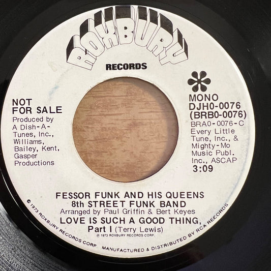 Fessor Funk & His Queens 8th Street Funk Band- Love Is Such A Good Thing / US-Promo 1973 - (M-/Neutral)