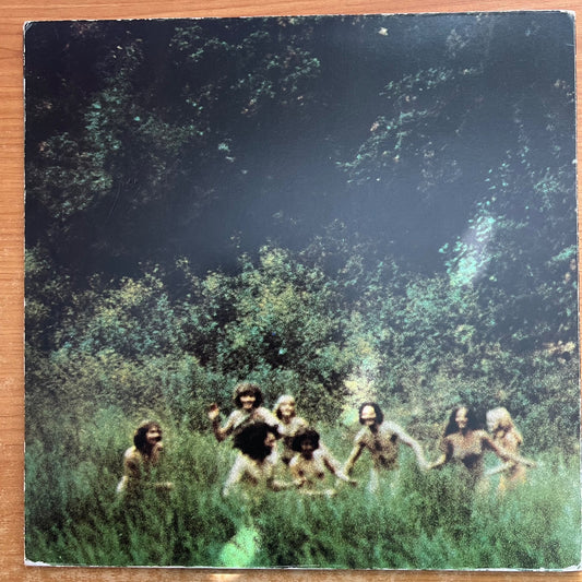Evergreen Blueshoes - The Ballad Of.. / 1. US-Press. 1969 - (M-/VG+)