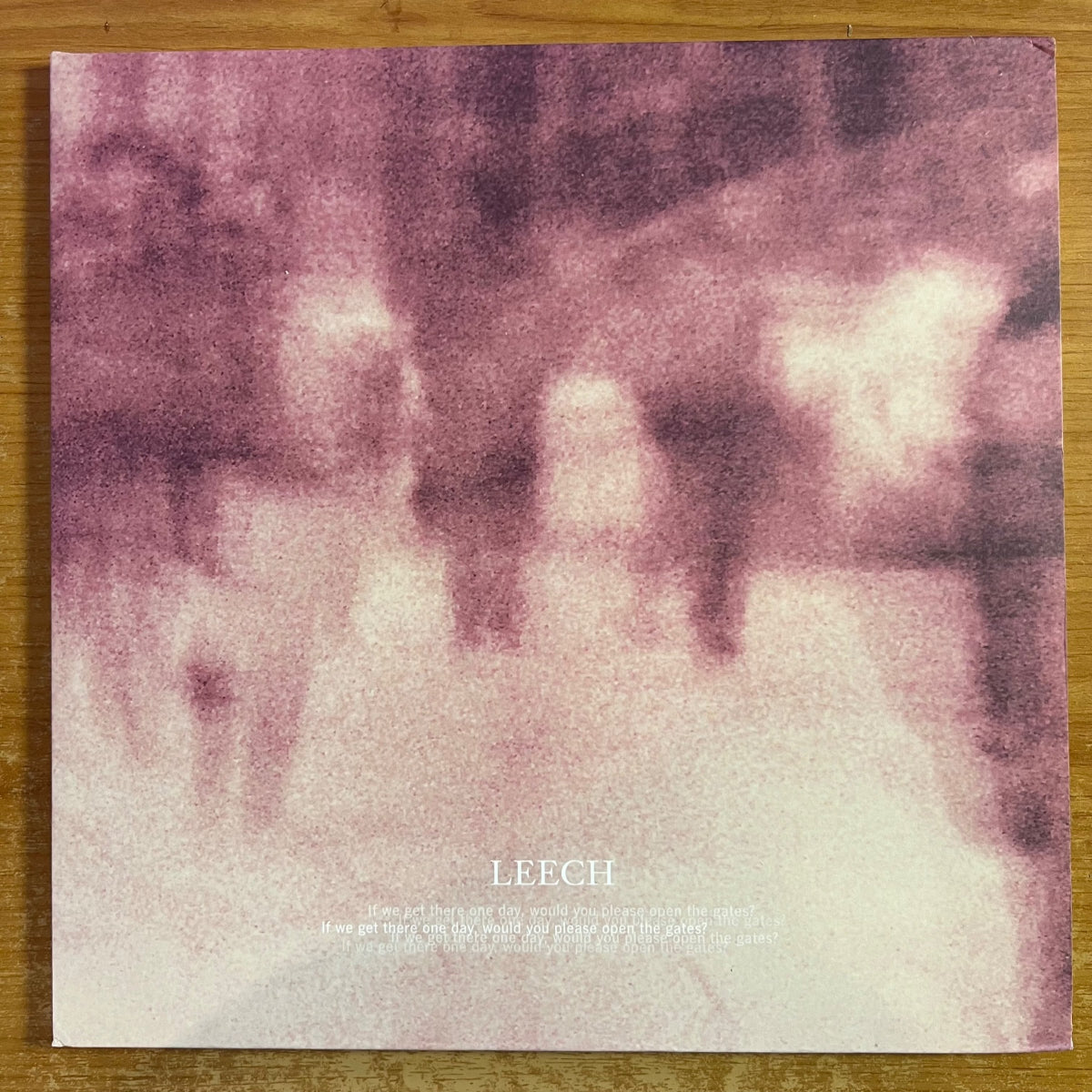 Leech - If We Get There One Day.. / 1. Swiss-Press. 2012 - (Mint/M-)