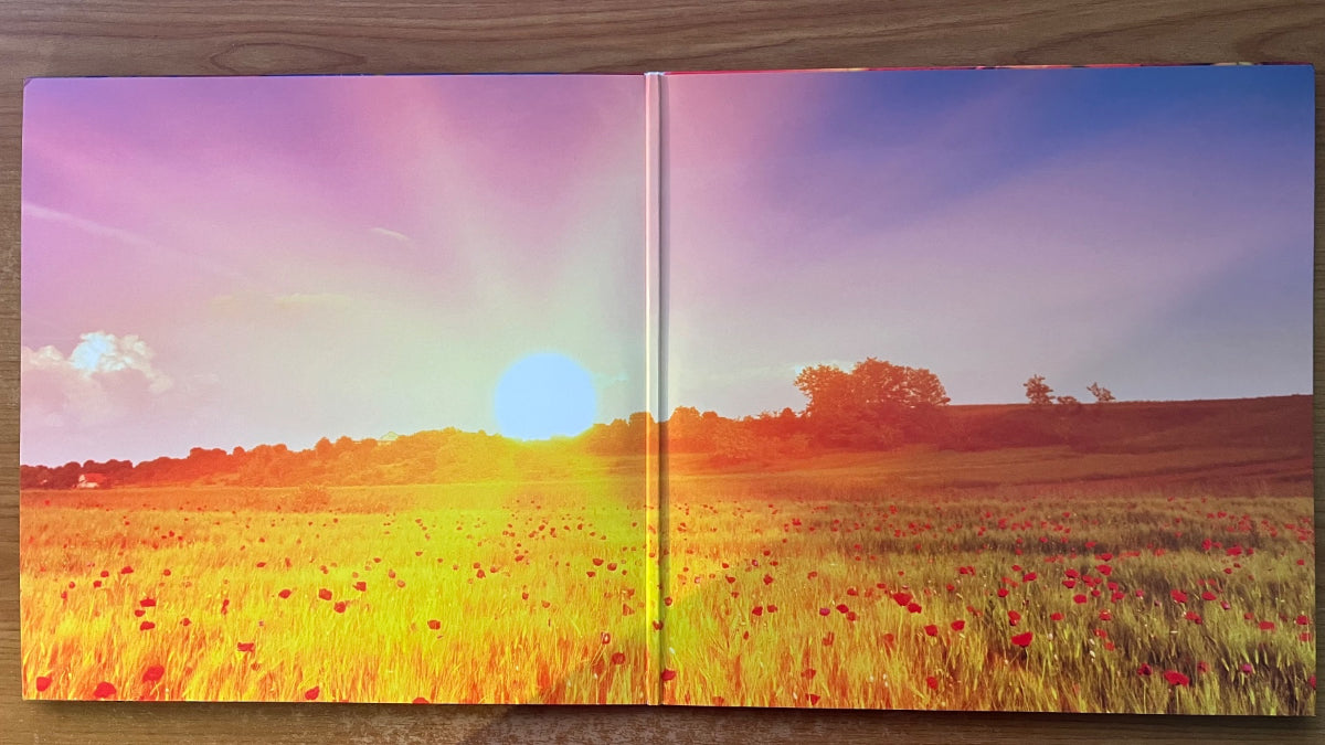 Galahad - Beyond The Realms Of Euphoria / LP & 12" Maxi - 1. UK-Press. 2012 - (Mint)