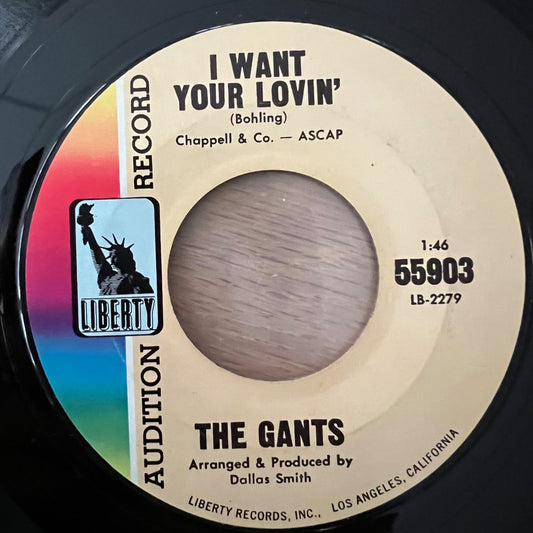 Gants - I Want Your Lovin' / 1. US Press. 1966 - (M-/Neutral)