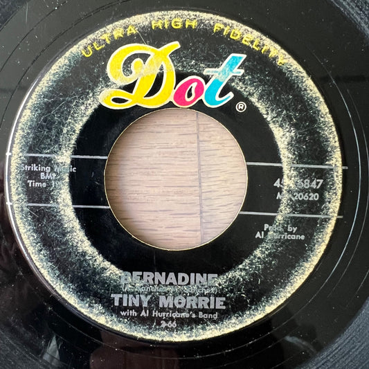 Tiny Morrie - Lonely Letters / 1. US-Press. 1966 - (G+/Neutral)