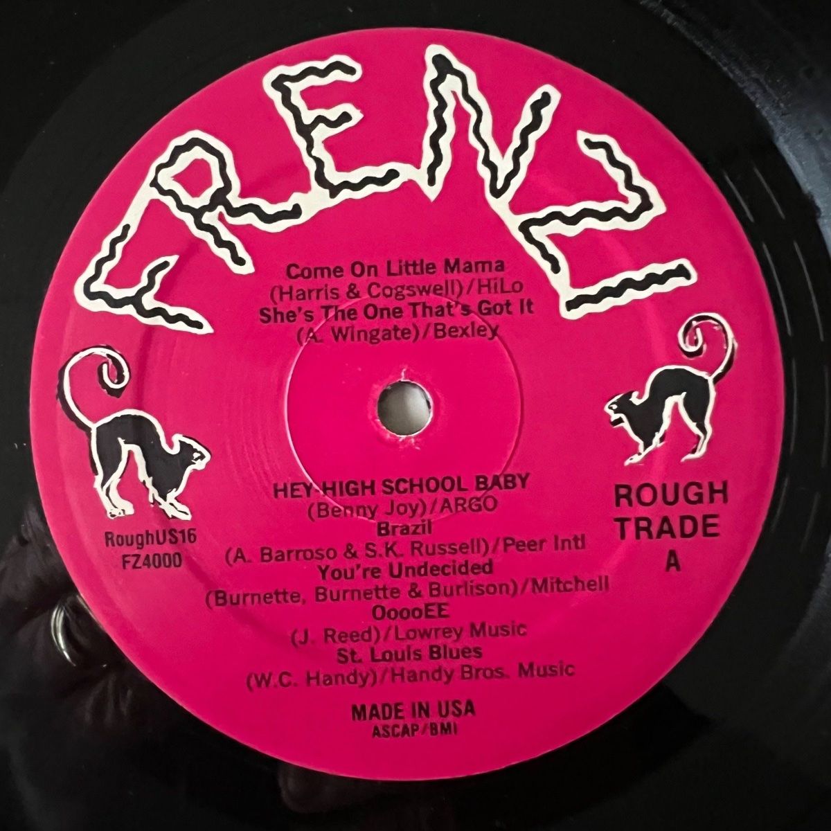 Tav Falco's Panther Burns - Behind The Magnolia Curtain / 1. US-Press. 1981 - (M-/VG++)