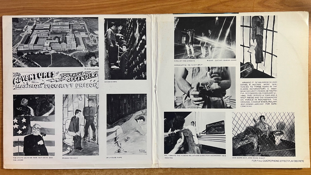 Armansd Schaubroeck Steals - A Lot Of People Would Like To See Armand Schaubroek...Dead / 3 LP - 1.US-Press. 1974 (M-/VG+)
