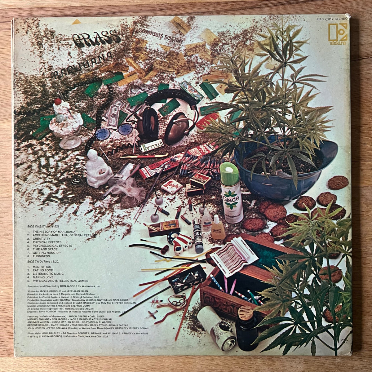 Ron Jacobs - A Child's Garden Of Grass / 1. US-Press. 1971 - (VG+/VG++)