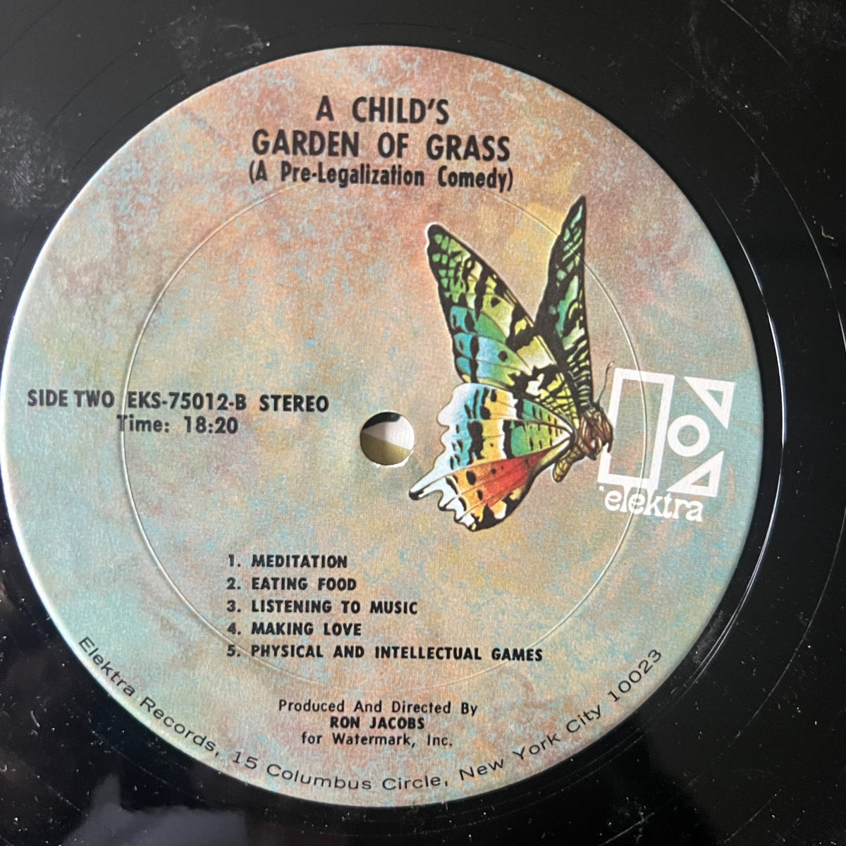 Ron Jacobs - A Child's Garden Of Grass / 1. US-Press. 1971 - (VG+/VG++)