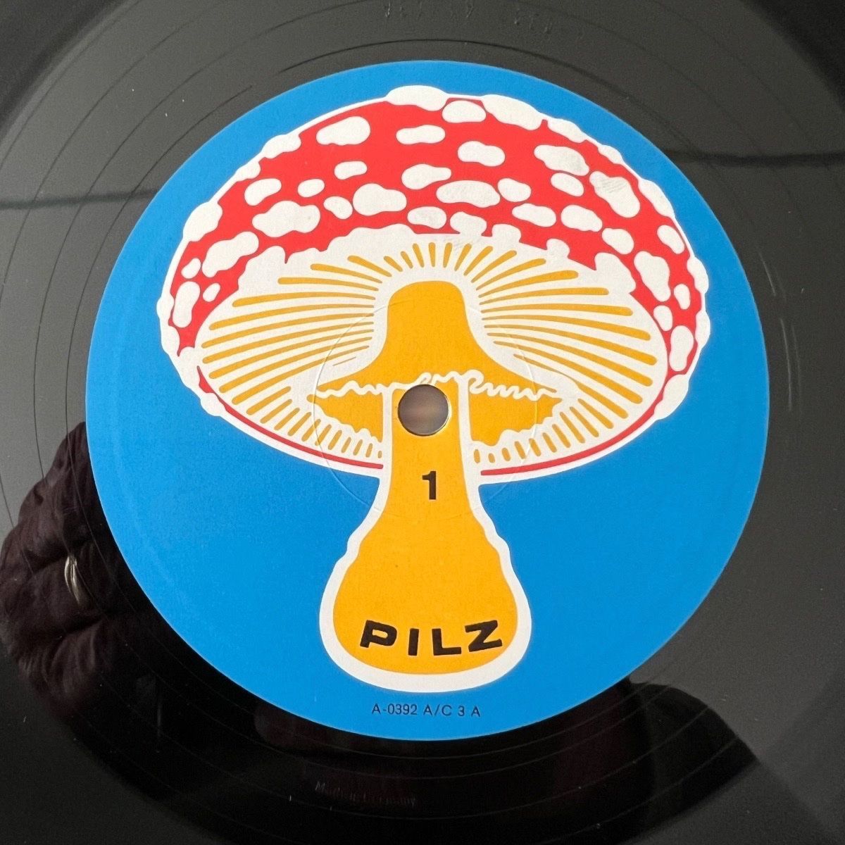 Flute & Voice - Imaginations Of Light / 1. D-Press. 1971 - (M-/M-)