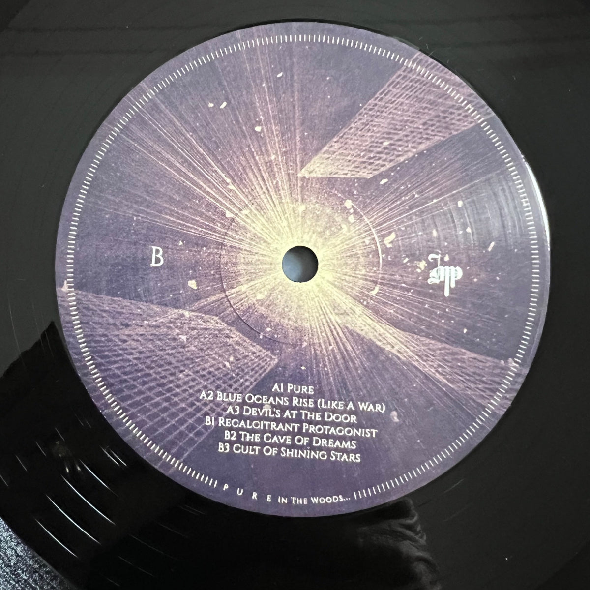 In The Woods - Pure / 2 LP - 1. France-Press. 2016 - (Mint)