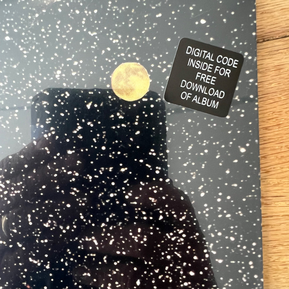 Thermals - Now We Can See / 1. US-Press. 2009 - (Mint & Sealed)