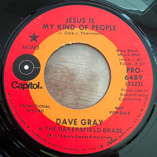 Dave Gray - Jesus Is My Kind People / US-Promo 197? - (VG++/Neutral)