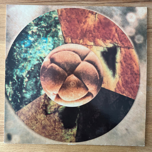 Hugo Fuchs - Mosaic / 1. Swiss-Press. 1979 - (M-/M-)
